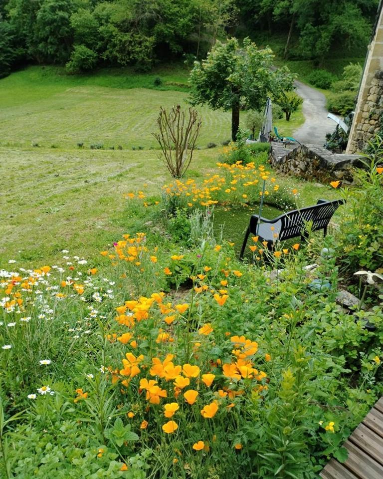 Chambre D'Hotes L'Ecrin Du Quercy Bed & Breakfast Figeac Exterior photo