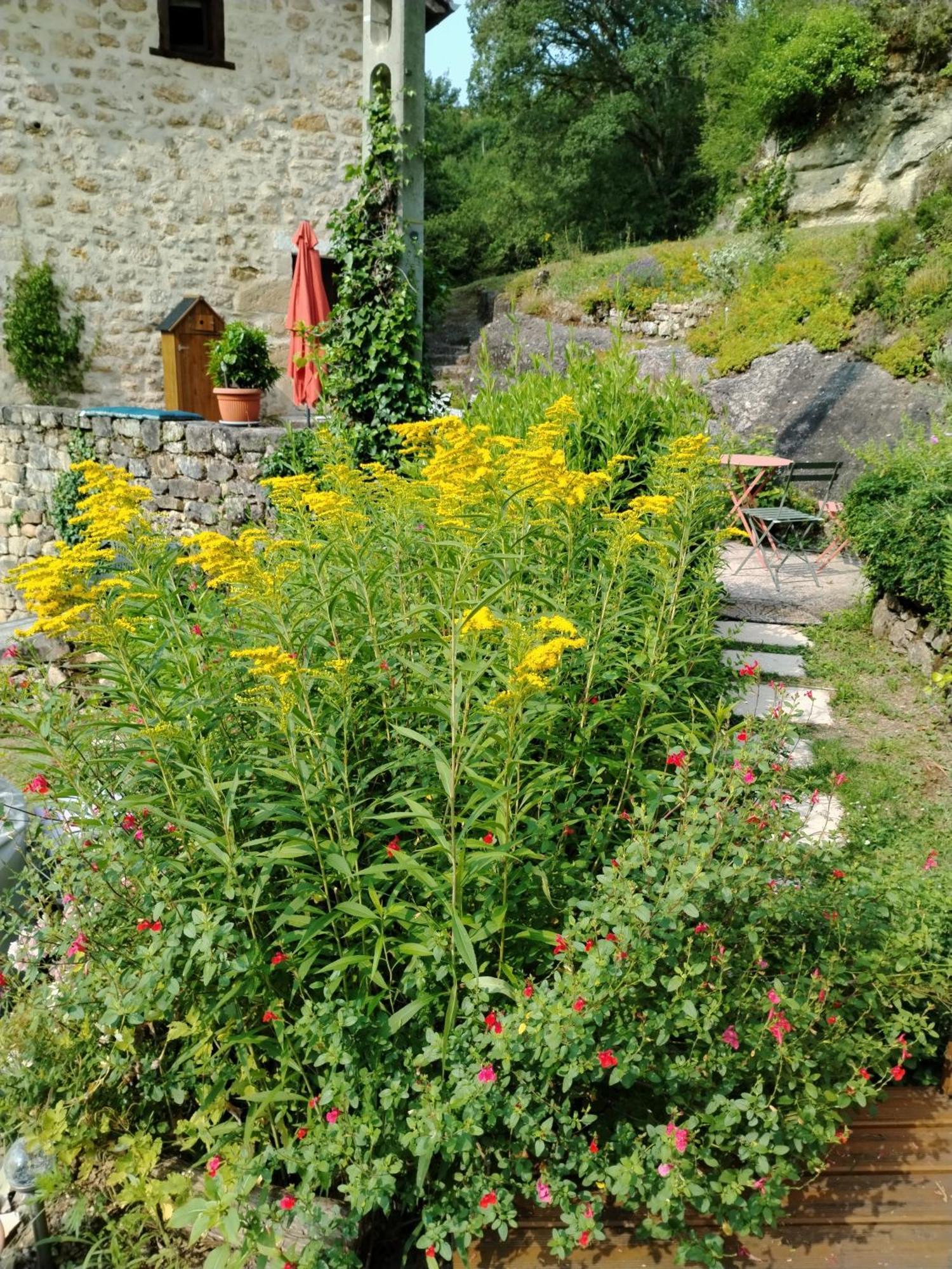 Chambre D'Hotes L'Ecrin Du Quercy Bed & Breakfast Figeac Exterior photo